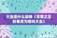 百兽之王的老虎为啥叫大虫 大虫是什么动物