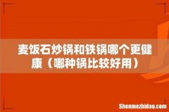 哪种锅比较好用 麦饭石炒锅和铁锅哪个更健康