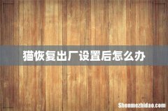 猫恢复出厂设置后怎么办