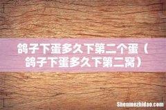 鸽子下蛋多久下第二窝 鸽子下蛋多久下第二个蛋