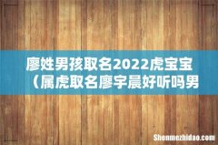 属虎取名廖宇晨好听吗男孩 廖姓男孩取名2022虎宝宝