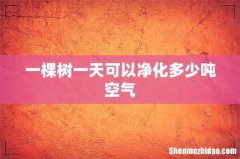 一棵树一天可以净化多少吨空气