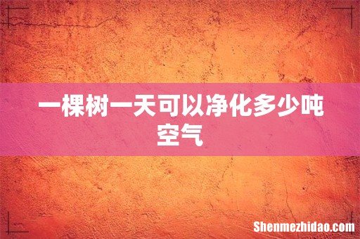 一棵树一天可以净化多少吨空气