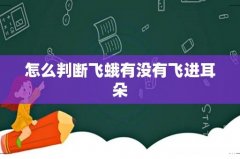 怎么判断飞蛾有没有飞进耳朵