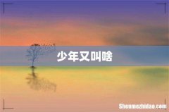 少年又叫啥
