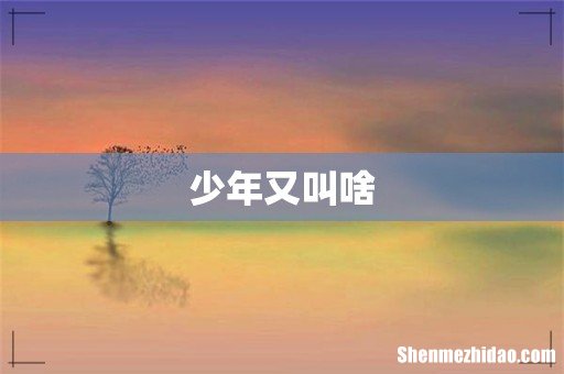 少年又叫啥