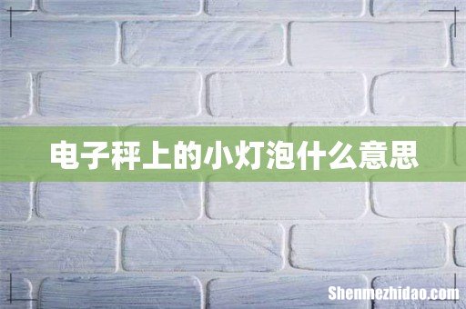 电子秤上的小灯泡什么意思
