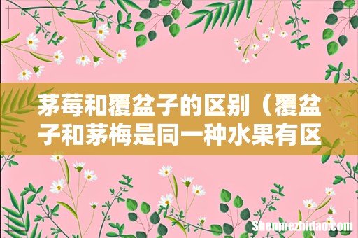 覆盆子和茅梅是同一种水果有区别么 茅莓和覆盆子的区别