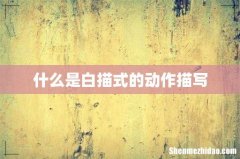 什么是白描式的动作描写