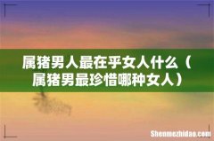 属猪男最珍惜哪种女人 属猪男人最在乎女人什么