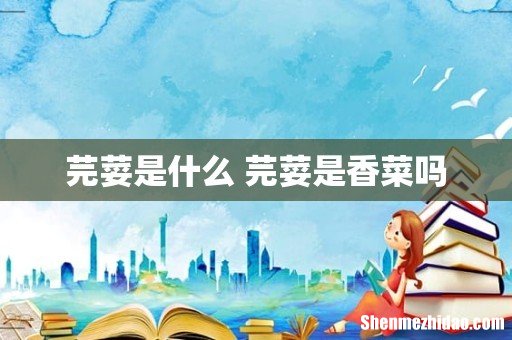 芫荽是什么 芫荽是香菜吗