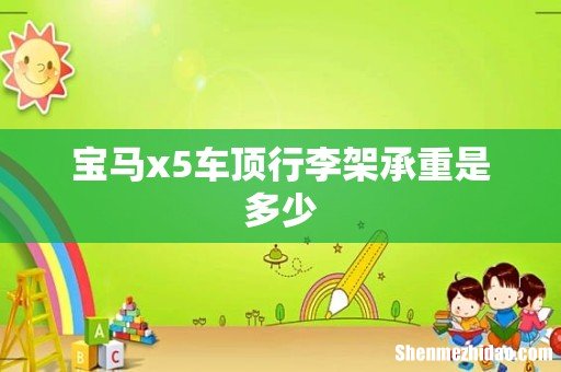 宝马x5车顶行李架承重是多少
