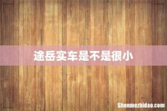 途岳实车是不是很小