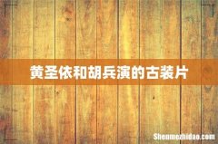 黄圣依和胡兵演的古装片