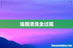 油路清洗全过程