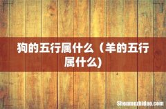 狗的五行属什么（羊的五行属什么)