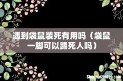 袋鼠一脚可以踢死人吗 遇到袋鼠装死有用吗