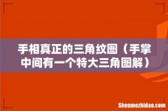 手掌中间有一个特大三角图解 手相真正的三角纹图