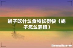 蝎子怎么养殖 蝎子吃什么食物长得快