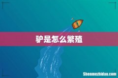 驴是怎么繁殖