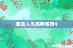 家禽人类养殖牧场4