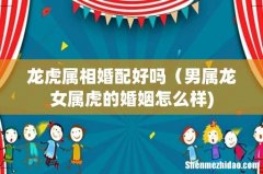 龙虎属相婚配好吗（男属龙女属虎的婚姻怎么样)