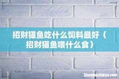 招财猫鱼喂什么食 招财猫鱼吃什么饲料最好