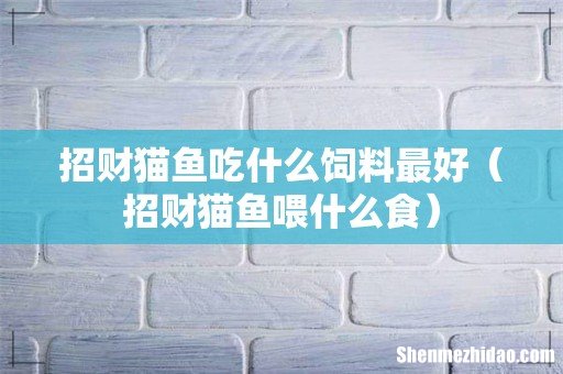 招财猫鱼喂什么食 招财猫鱼吃什么饲料最好