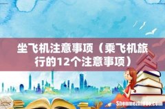 乘飞机旅行的12个注意事项 坐飞机注意事项