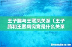 王子腾和王熙凤究竟是什么关系 王子腾与王熙凤关系