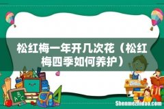 松红梅四季如何养护 松红梅一年开几次花