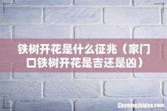 家门口铁树开花是吉还是凶 铁树开花是什么征兆