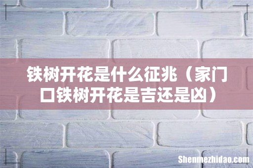 家门口铁树开花是吉还是凶 铁树开花是什么征兆