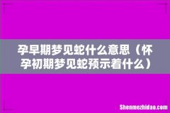 怀孕初期梦见蛇预示着什么 孕早期梦见蛇什么意思