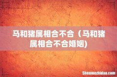 马和猪属相合不合（马和猪属相合不合婚姻)