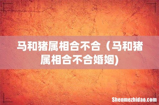 马和猪属相合不合(马和猪属相合不合婚姻)