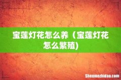 宝莲灯花怎么养（宝莲灯花怎么繁殖)