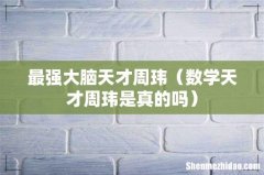 数学天才周玮是真的吗 最强大脑天才周玮