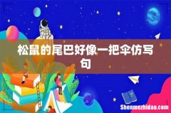 松鼠的尾巴好像一把伞仿写句