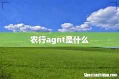 农行agnt是什么