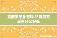 夏威夷果补肾吗 吃夏威夷果有什么好处