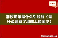 是什么造就了地球上的潮汐 潮汐现象是什么引起的