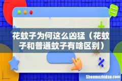 花蚊子和普通蚊子有啥区别 花蚊子为何这么凶猛