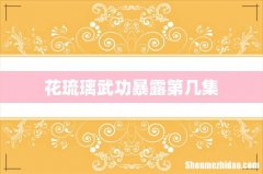 花琉璃武功暴露第几集