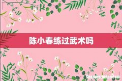 陈小春练过武术吗