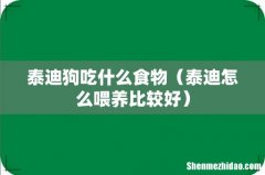 泰迪怎么喂养比较好 泰迪狗吃什么食物
