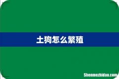 土狗怎么繁殖