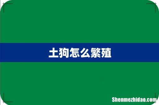 土狗怎么繁殖