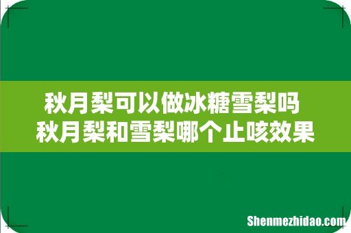 秋月梨可以做冰糖雪梨吗 秋月梨和雪梨哪个止咳效果好
