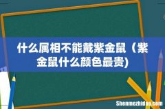 什么属相不能戴紫金鼠（紫金鼠什么颜色最贵)